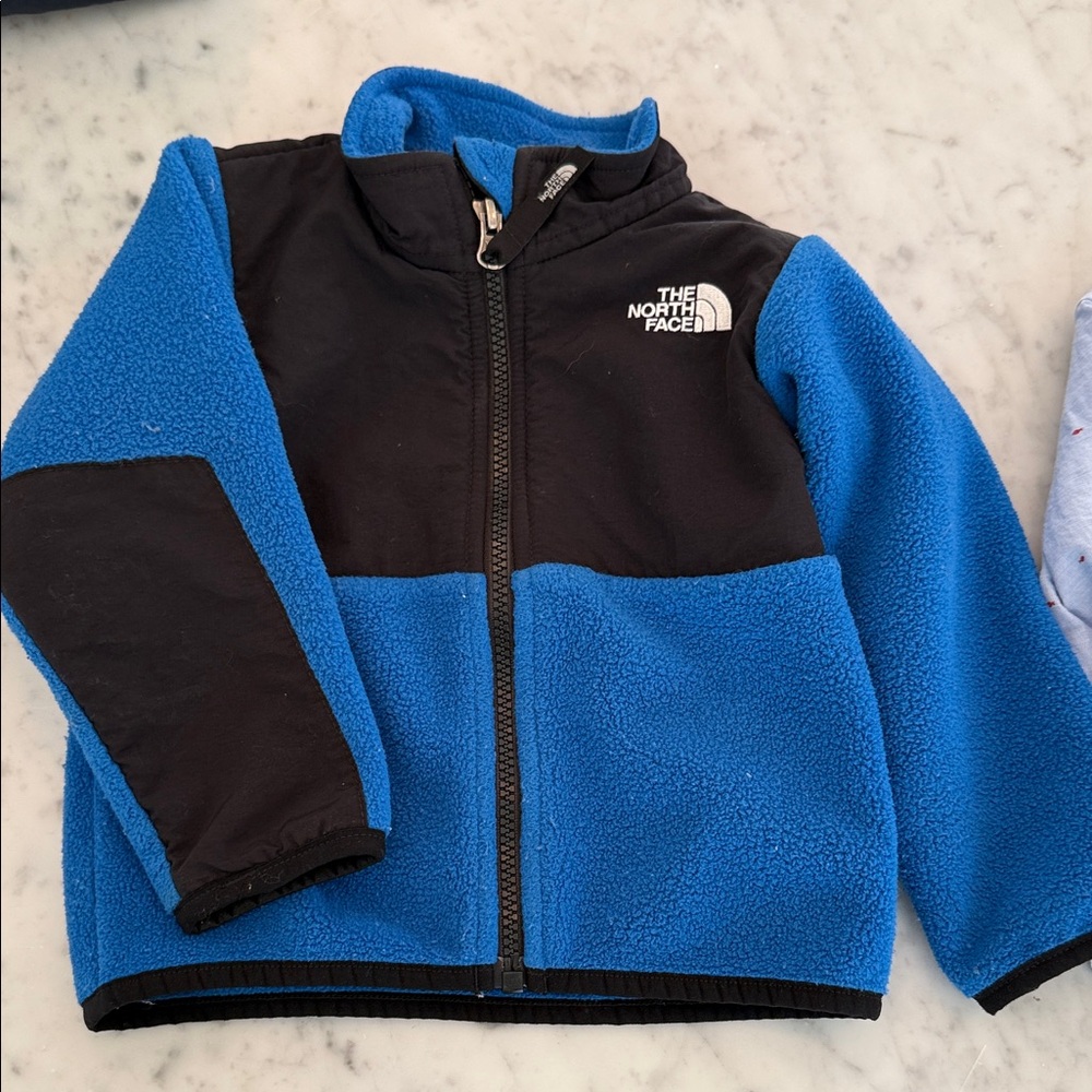 The North Face Black and Blue Fleece Jacket